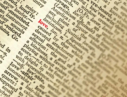 Cool Facts About the Dictionary